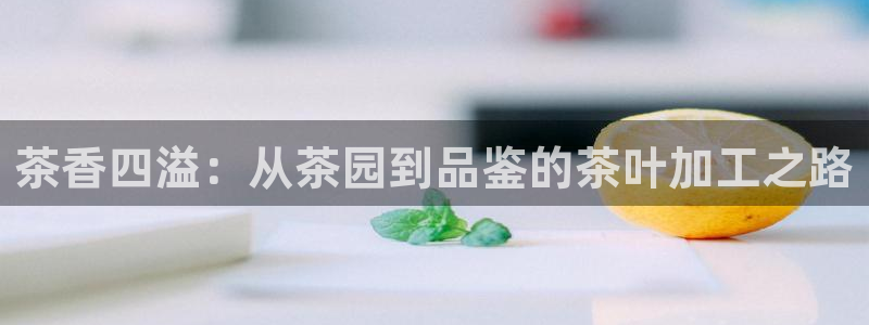 龙八国际软件下载