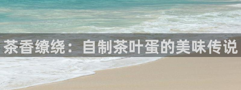 龙八国际登