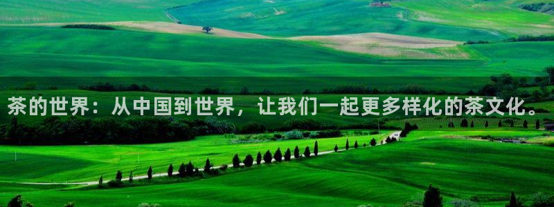 龙八国际登入