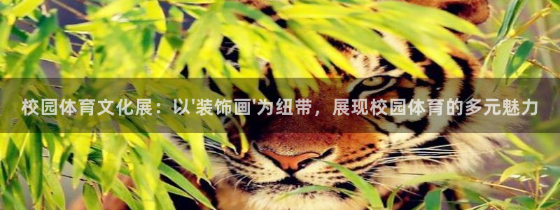 中欧体育官网入口：校园体育文化展：以\'装饰画\'为纽带，展现校园体育的多元魅力