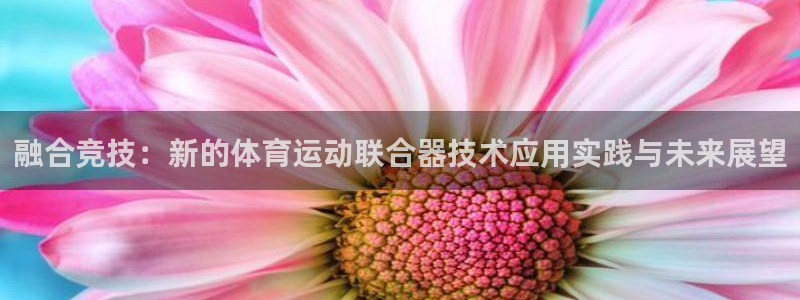 中欧体育李勇鸿：融合竞技：新的体育运动联合器技术应用实践与未来展望