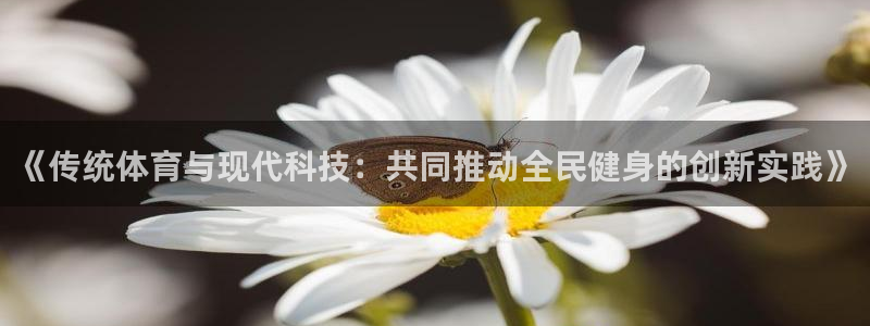 中欧体育kok官网首页：《传统体育与现代科技：共同推动全民健身的创新实践》