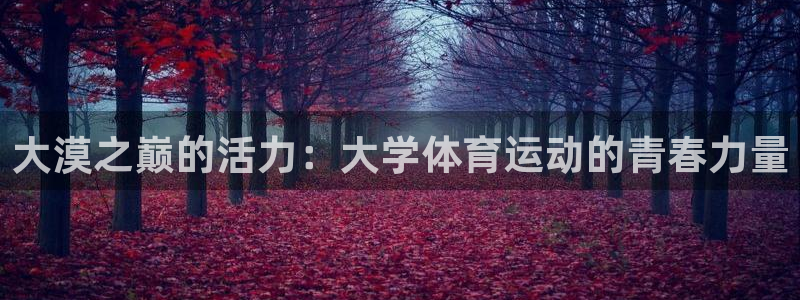 中欧体育下载：大漠之巅的活力：大学体育运动的青春力量