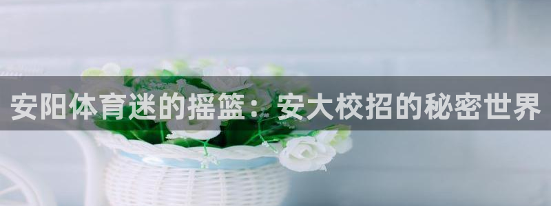 kok中欧体育登录：安阳体育迷的摇篮：安大校招的秘密世界