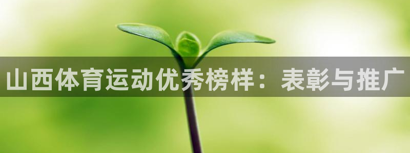中欧体育集团：山西体育运动优秀榜样：表彰与推广