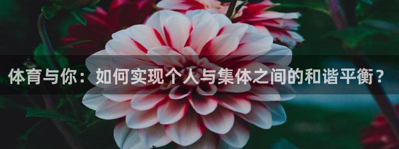 kok中欧体育登录：体育与你：如何实现个人与集体之间的和谐平衡？