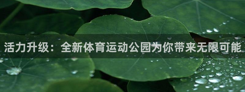 kok中欧体育：活力升级：全新体育运动公园为你带来无限可能