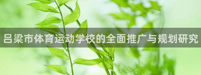 中欧体育全站app：吕梁市体育运动学校的全面推广与规划研究