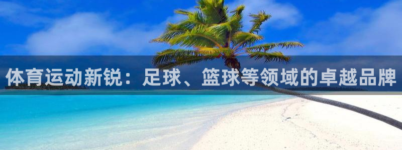 zyty中欧体育平台：体育运动新锐：足球、篮球等领域的卓越品牌